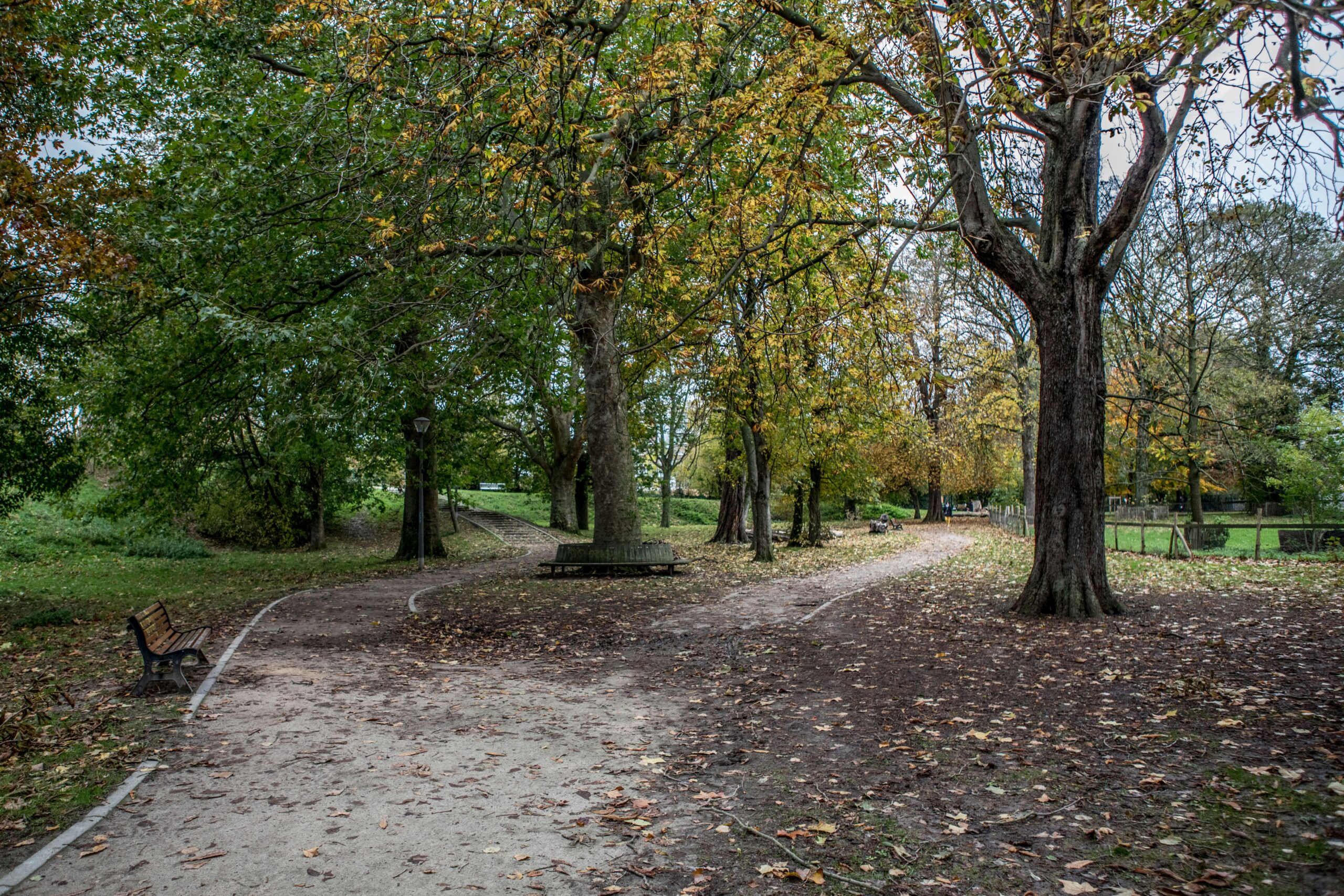 yanick-folly-9pFmtqwYTDE-unsplash